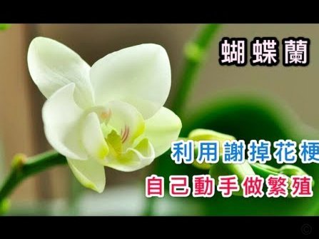 花呗套现：风险有多大？