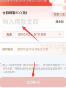 白条动态付费额度揭秘