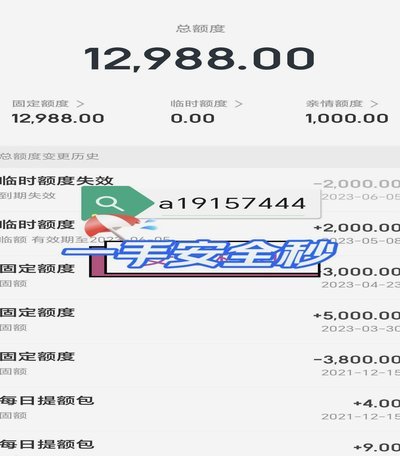 白条可以提现吗