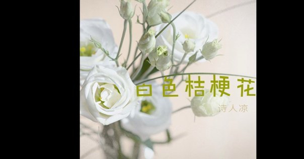 花呗套现风险：平台定位与用户陷阱