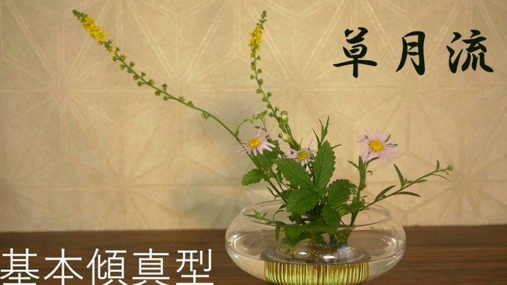 花呗冻结？ 快速恢复指南