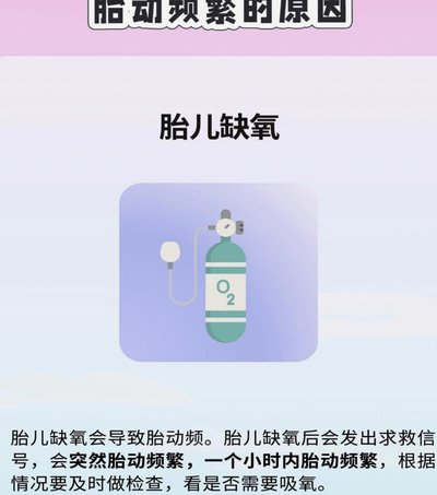 2024年网贷市场：频繁借贷还能成功吗？
