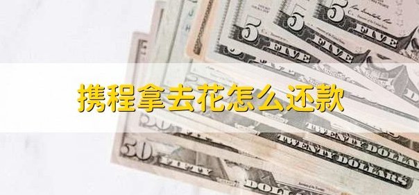 拿去花怎么使用