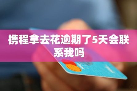 携程“去花”停用原因分析