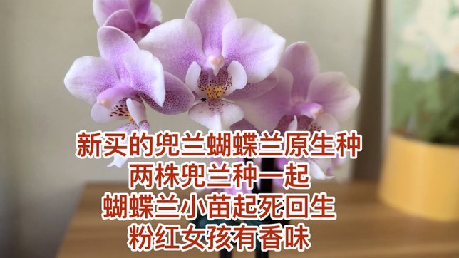 享花卡玩转攻略：如何最大化利用？