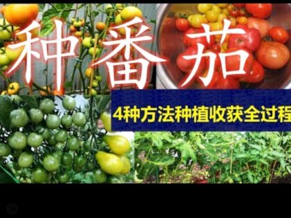 便茄卡包套现最怕三个东西