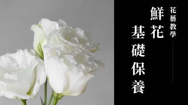 拿去花能否数字化重生