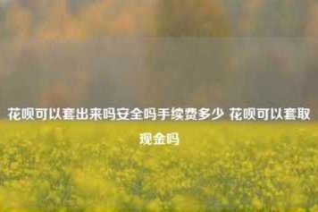 花呗套取手续费多少