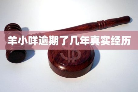 羊小咩逾期影响大揭秘