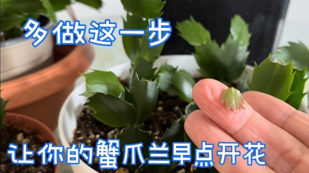 信用额度提升技巧