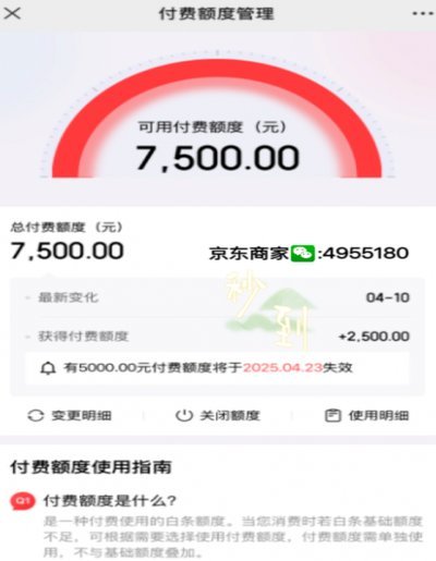 白条支付平台崛起：重塑消费新生态