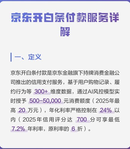 支持白条付款的平台