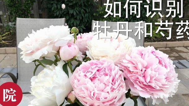 花呗“安全”？这些风险你了解吗