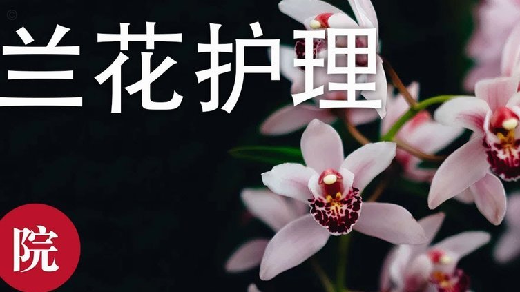 花呗额度提升的正确方式