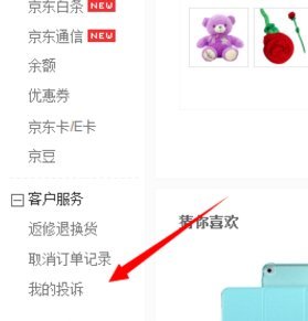 第三方平台支持京东白条