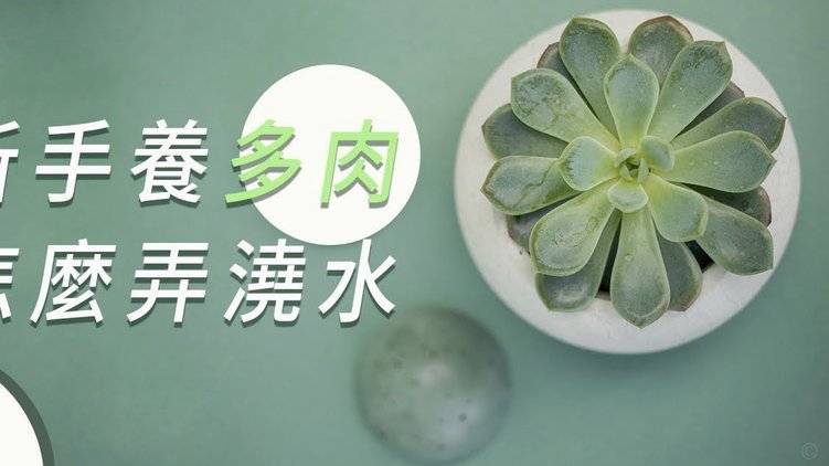 套现回收商家处罚措施