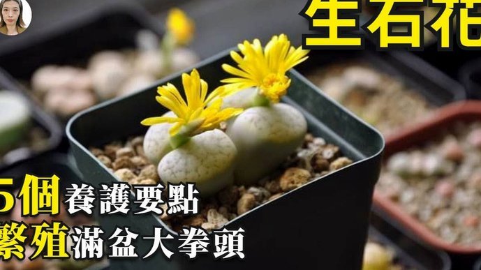 拿去花套现回收商家 怎么处罚