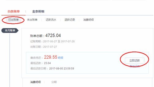 得物购物额度怎么用：技巧与全攻略
