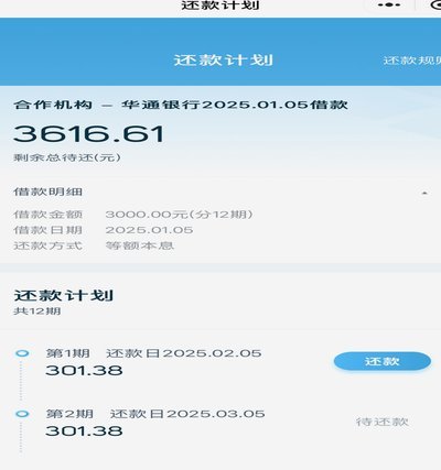 拍拍贷借款：流程解析与风险提示