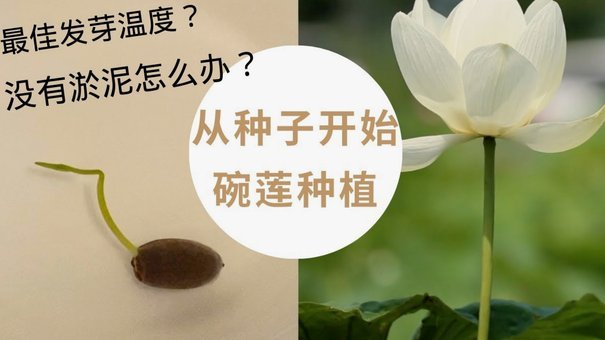 携程拿去花怎么支付