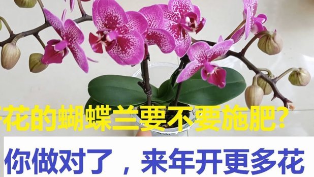 花呗合法吗？最新运营状态揭秘