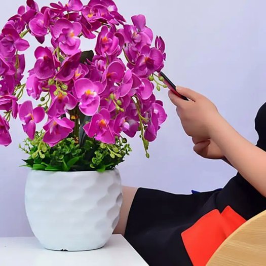 自己套花呗