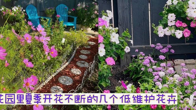 花呗秒套平台 哪个最好