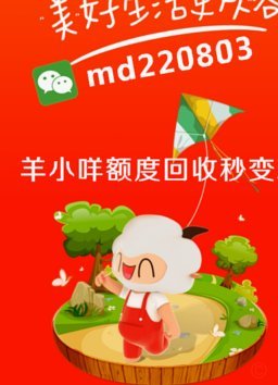 轻松提现新体验：羊小咩引领金融科技潮流