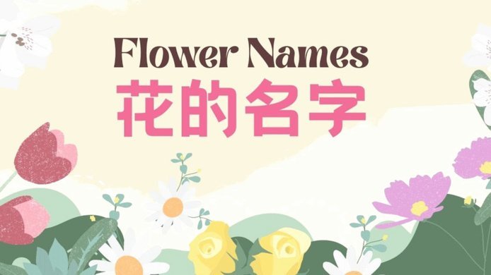花呗借款合法可靠吗？