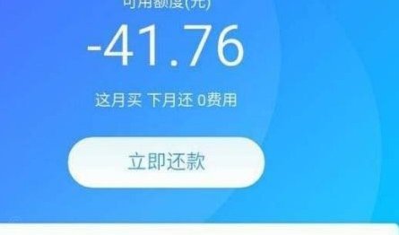 花呗额度“套用”：隐藏的风险与陷阱