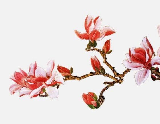 花呗关闭全攻略：正确停用方法