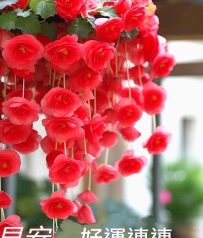 花呗咋关掉