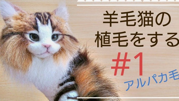 羊小咩的提现方法