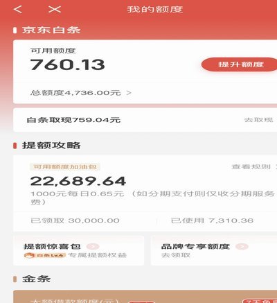 白条额度加油包怎么用？掌握合理用法并有效规避风险
