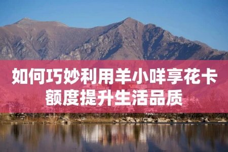 羊小咩享花卡能套现吗