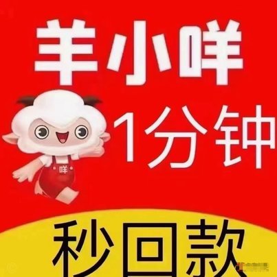 羊小咩能否借到钱？借贷市场全解析