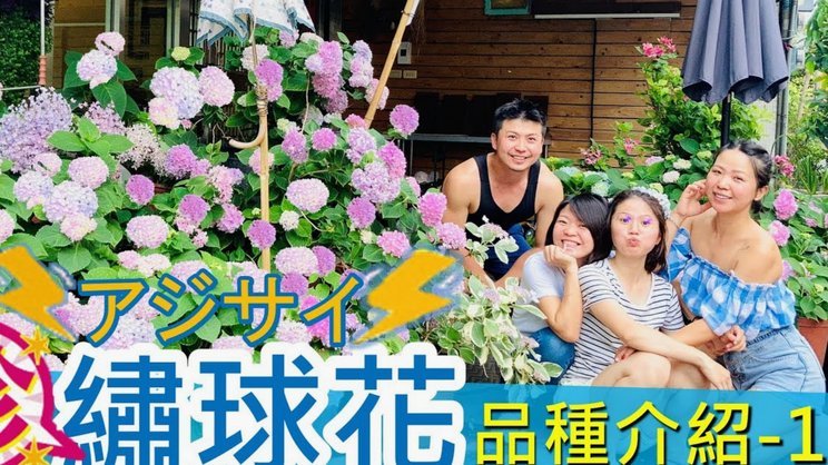携程拿去花哪里还款 平台可靠