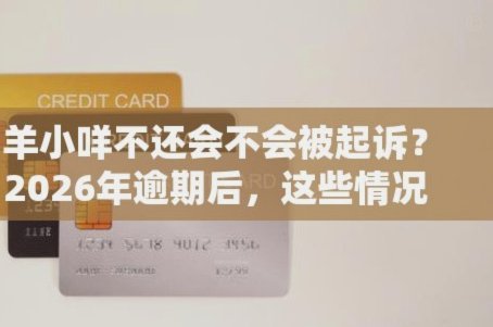 羊小咩逾期还款影响征信吗？