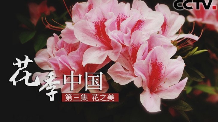 花呗客服怎么找？不止一种方法！